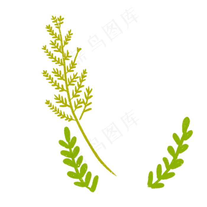 春天植物绿叶下载(2000X2000(DPI:300))psd模版下载