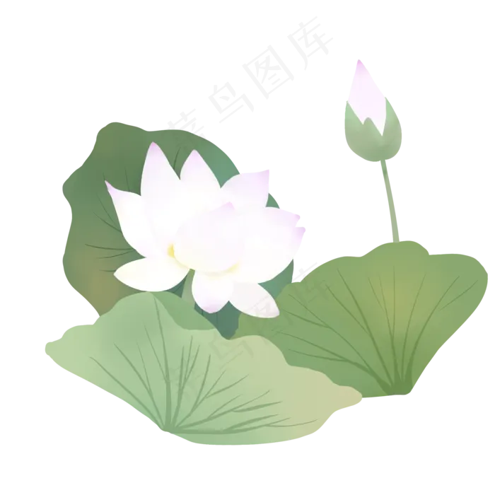 荷花荷叶白色(2000X2000(DPI:300))psd模版下载