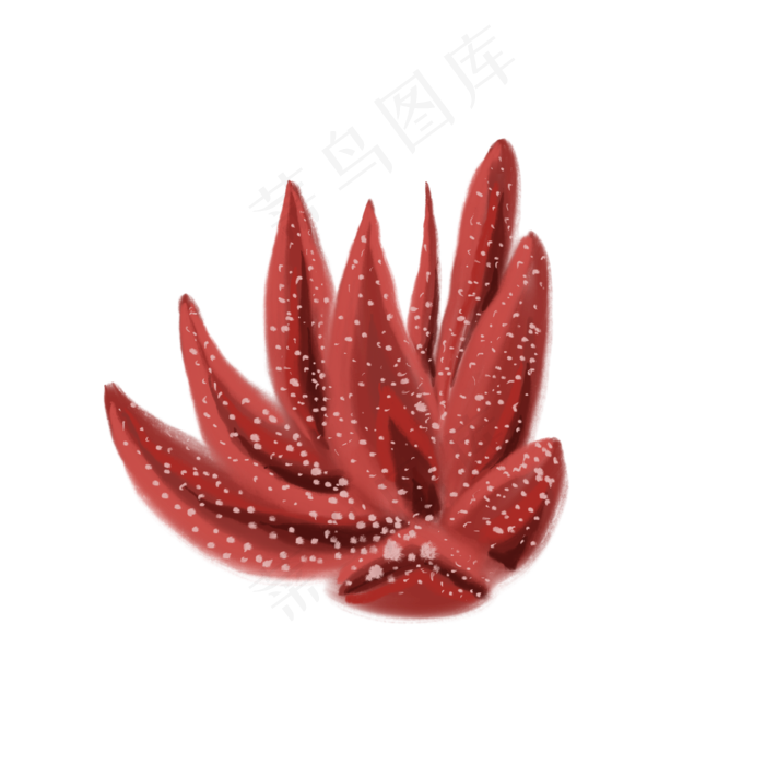 一颗红色叶子的植物免抠插图(2000X2000(DPI:132))psd模版下载