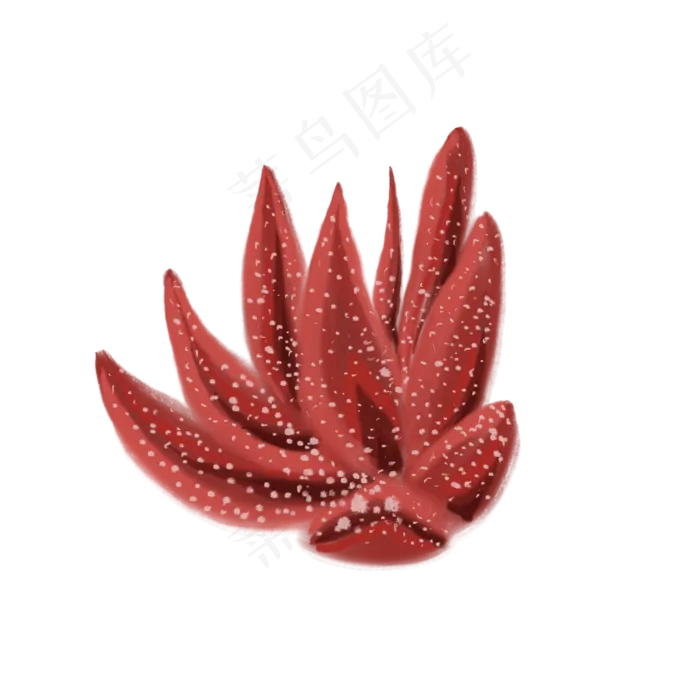 一颗红色叶子的植物免抠插图(2000X2000(DPI:132))psd模版下载