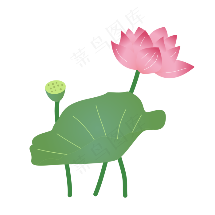 粉色盛开的卡通荷花