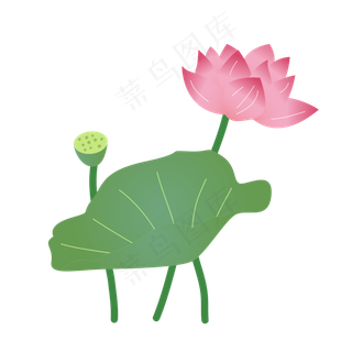 粉色盛开的卡通荷花