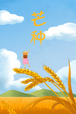 芒种时节小麦田地