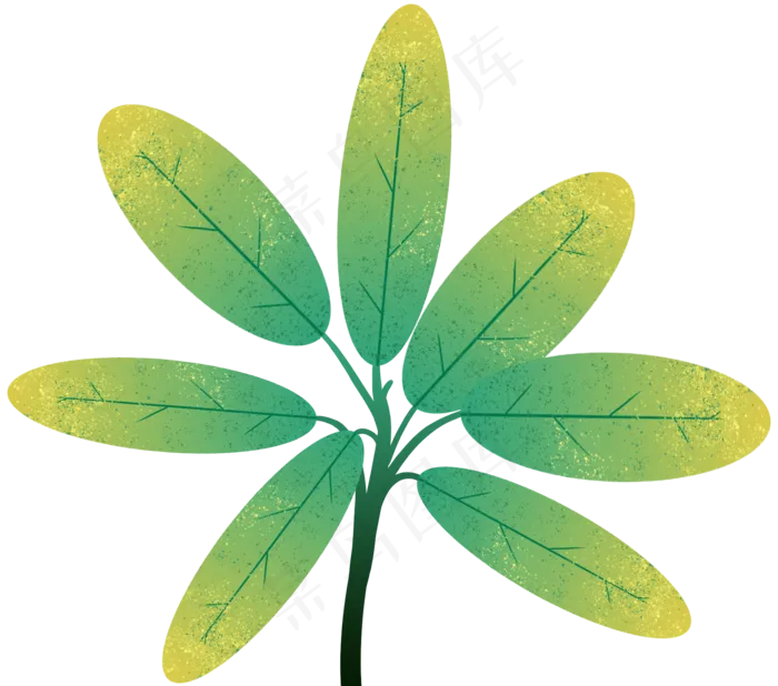 枇杷叶子(1863X1645(DPI:300))psd模版下载