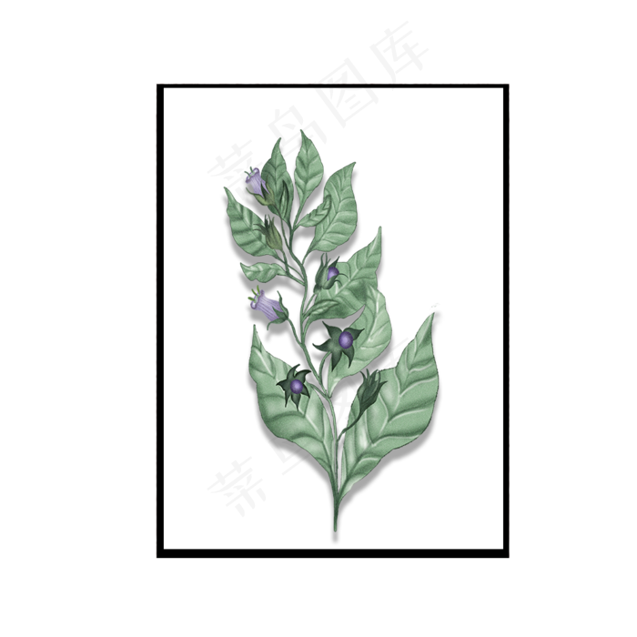 植物花卉墙画矢量元素,免抠元素(1000X1000(DPI:300))psd模版下载