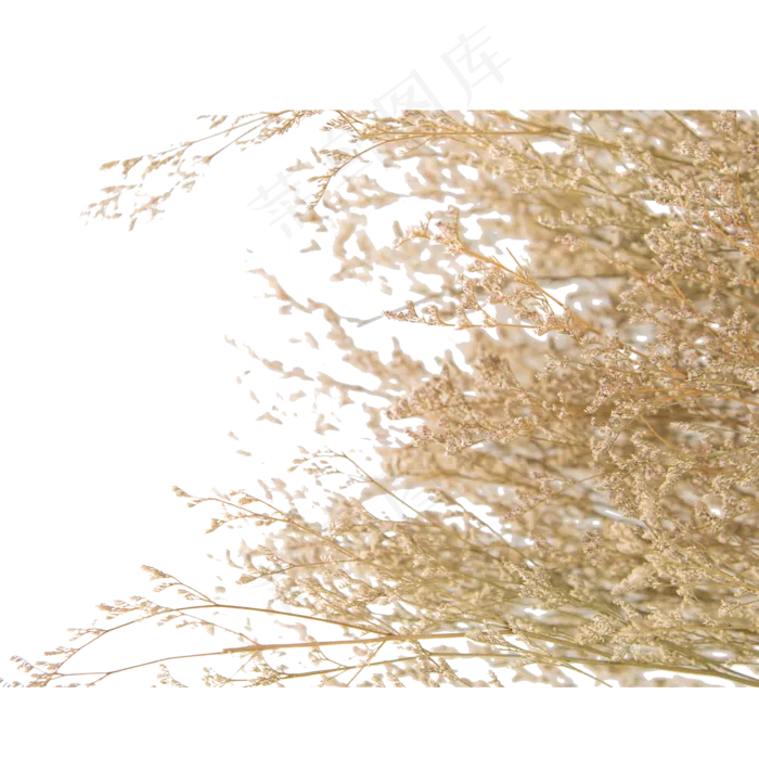 夏日清新风景(2000X2000(DPI:300))psd模版下载