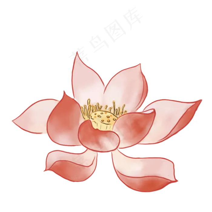 红色的莲花免抠图(2000X2000(DPI:300))psd模版下载