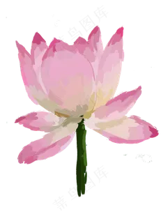 夏天写实荷花免抠图