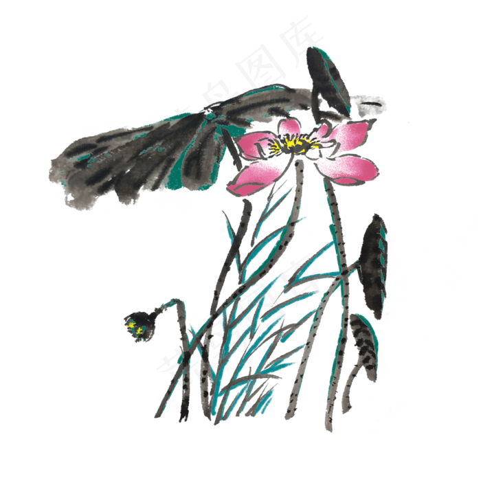 荷花荷叶水墨手绘风