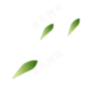 飞翔飘落的叶子