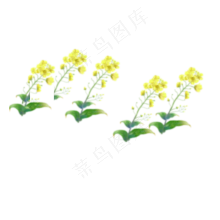 卡通黄色鲜花下载(2000X2000(DPI:300))psd模版下载