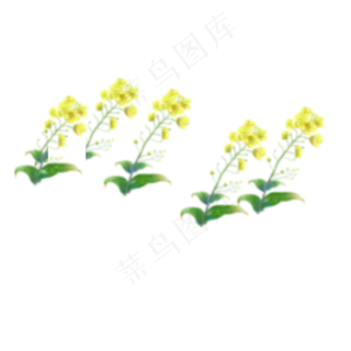卡通黄色鲜花下载