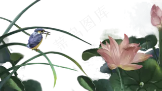 中国风花鸟夏荷翠鸟河鱼边框横,免抠元素