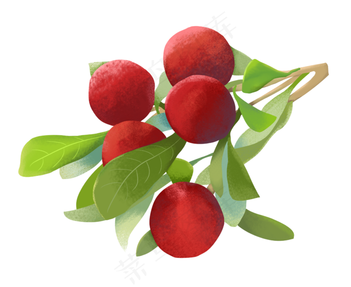 红色杨梅装饰(2598X2126(DPI:300))psd模版下载