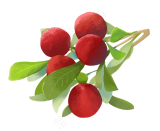 红色杨梅装饰