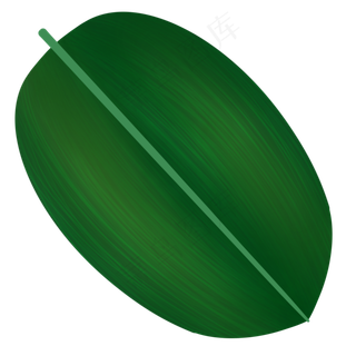 粽子叶