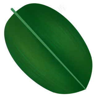 粽子叶