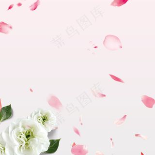 天猫淘宝感恩节化妆品直通车