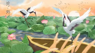 观荷采莲仙鹤采莲节