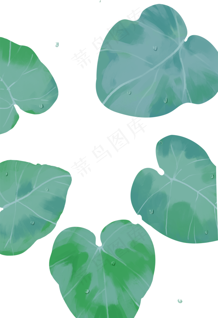 荷叶叶子(1373X2000(DPI:300))psd模版下载