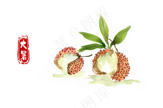 大暑甘甜的荔枝