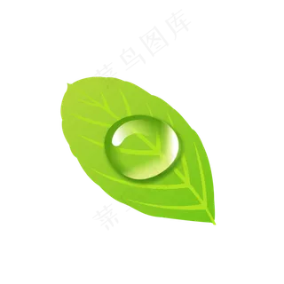 白露可爱绿叶露珠矢量元素,免抠元素