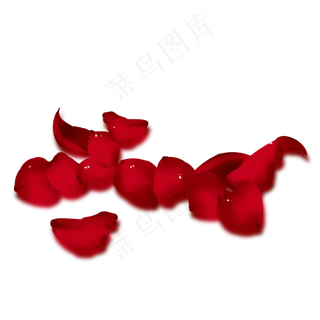 散落地上免扣的玫瑰花瓣