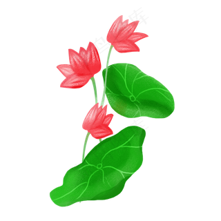 春夏荷花png素材