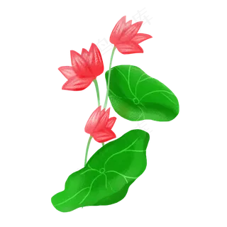 春夏荷花png素材