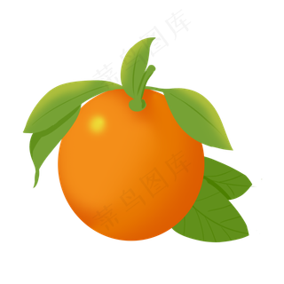 健康水果橙子果肉