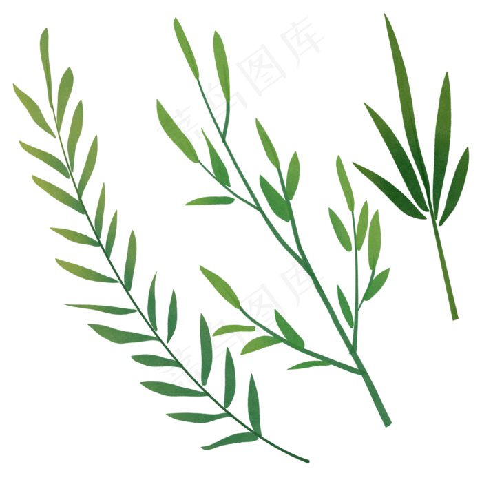 绿植手绘水彩植物叶子图案素材