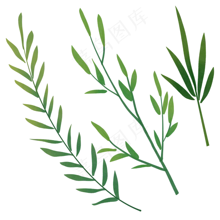 绿植手绘水彩植物叶子图案素材(2000X2000(DPI:300))psd模版下载