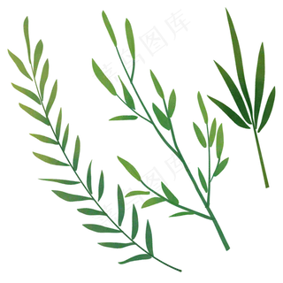 绿植手绘水彩植物叶子图案素材
