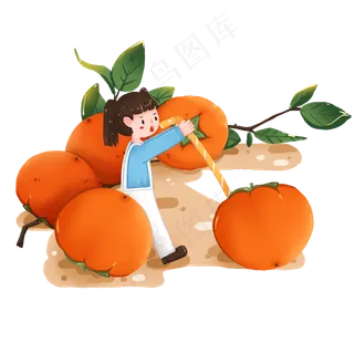 秋季丰收水果之吃柿子的女孩