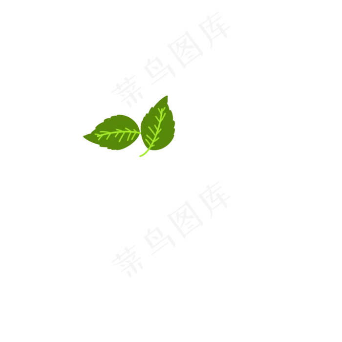 茶树叶子橙子叶子(2500*2500px 72 dpi )ai矢量模版下载