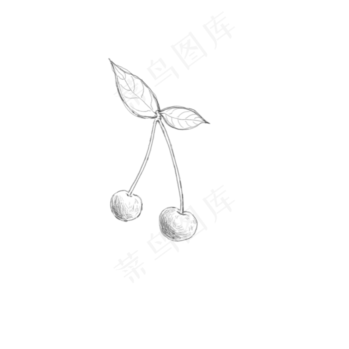 黑白素描樱桃PNG(2000X2000(DPI:300))psd模版下载