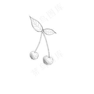 黑白素描樱桃PNG