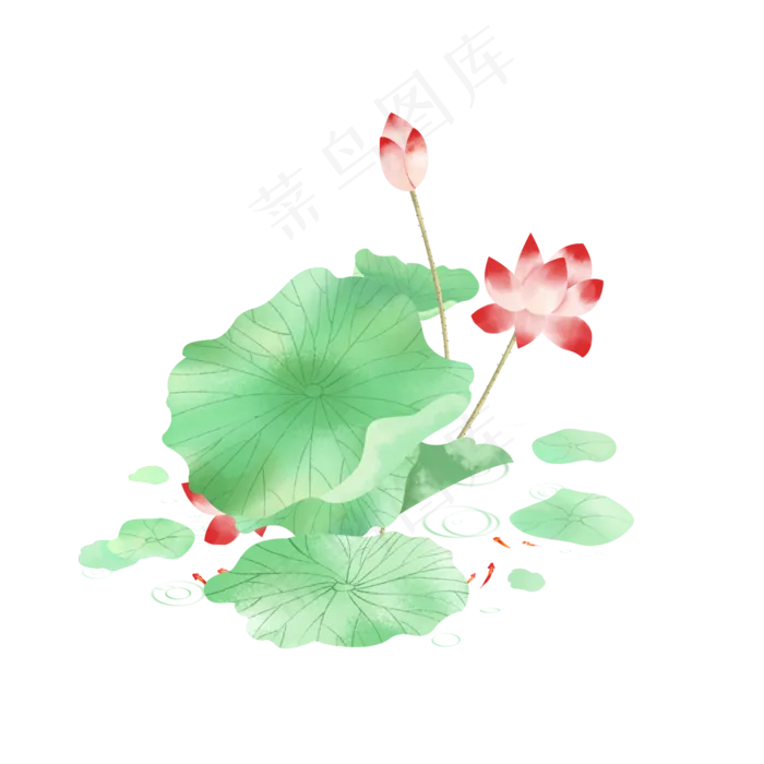 夏日荷花(2000X2000(DPI:300))psd模版下载