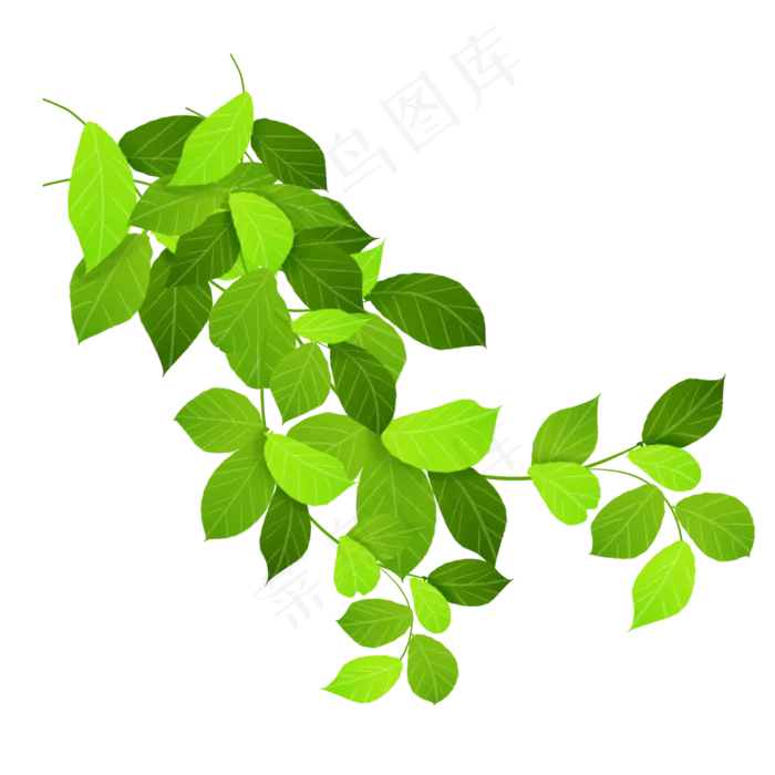 春天生机勃勃的植物(2000X2000(DPI:300))psd模版下载