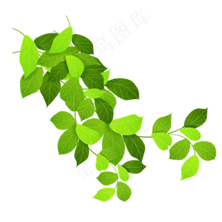 春天生机勃勃的植物