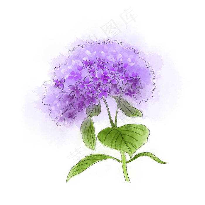 紫色绣球花唯美梦幻*花PNG(2000X2000(DPI:300))psd模版下载