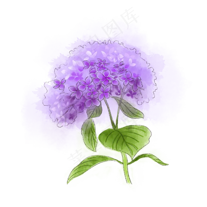紫色绣球花唯美梦幻*花PNG(2000X2000(DPI:300))psd模版下载