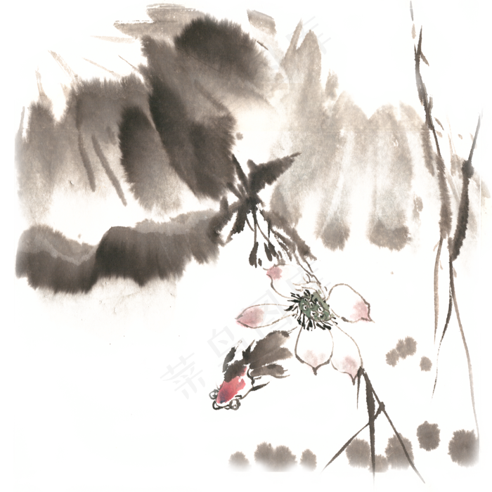 荷花金鱼水墨画PNG免抠素材