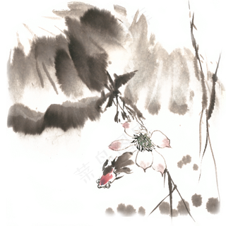 荷花金鱼水墨画PNG免抠素材