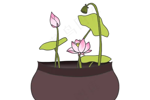 棕色花瓶荷花插图