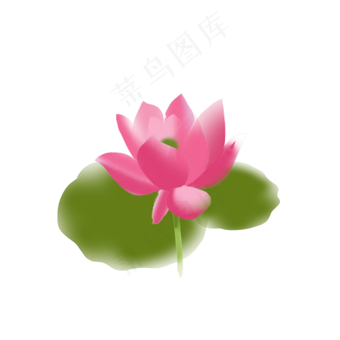 清新夏季荷花元素(2000X2000(DPI:300))psd模版下载