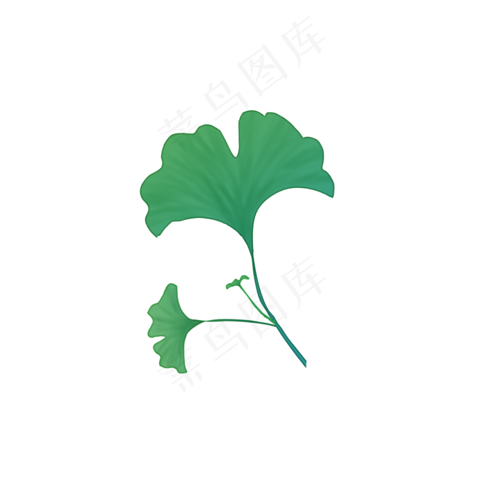 清新文艺植物绿叶银杏叶,免抠元素
