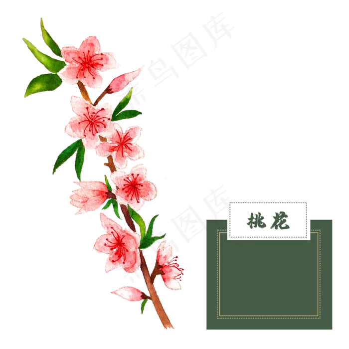 花类中草药桃花水彩春花(2500X2500(DPI:300))psd模版下载
