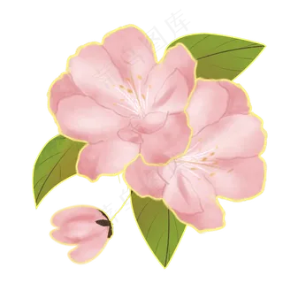 春季手绘桃花金边装饰,免抠元素