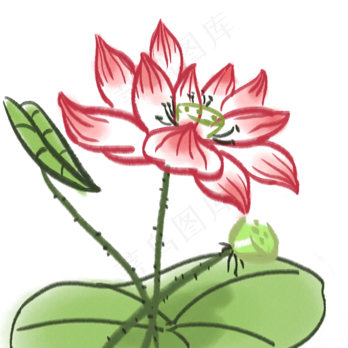 荷花植物花朵(2000X2000(DPI:300))psd模版下载